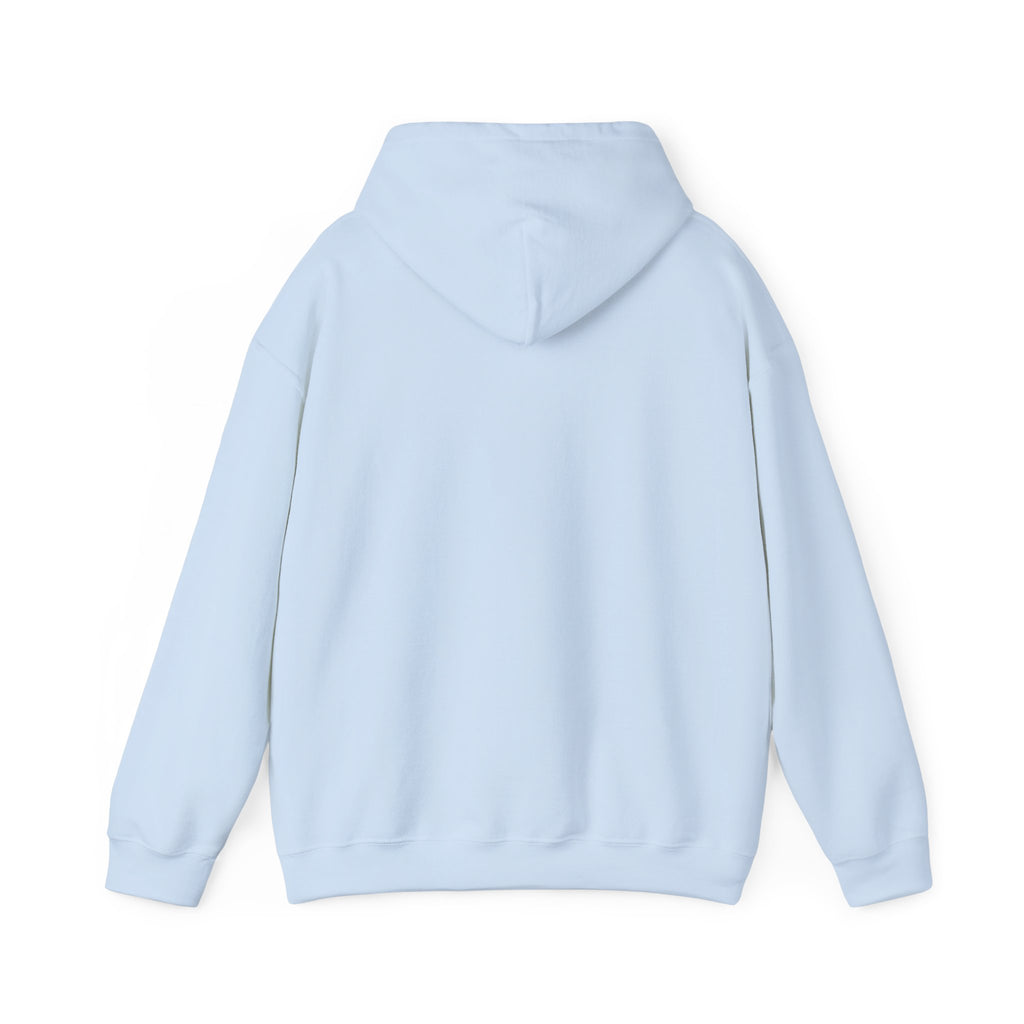 Go Make Disciples Hoodie — Christian Mission Faith Pullover