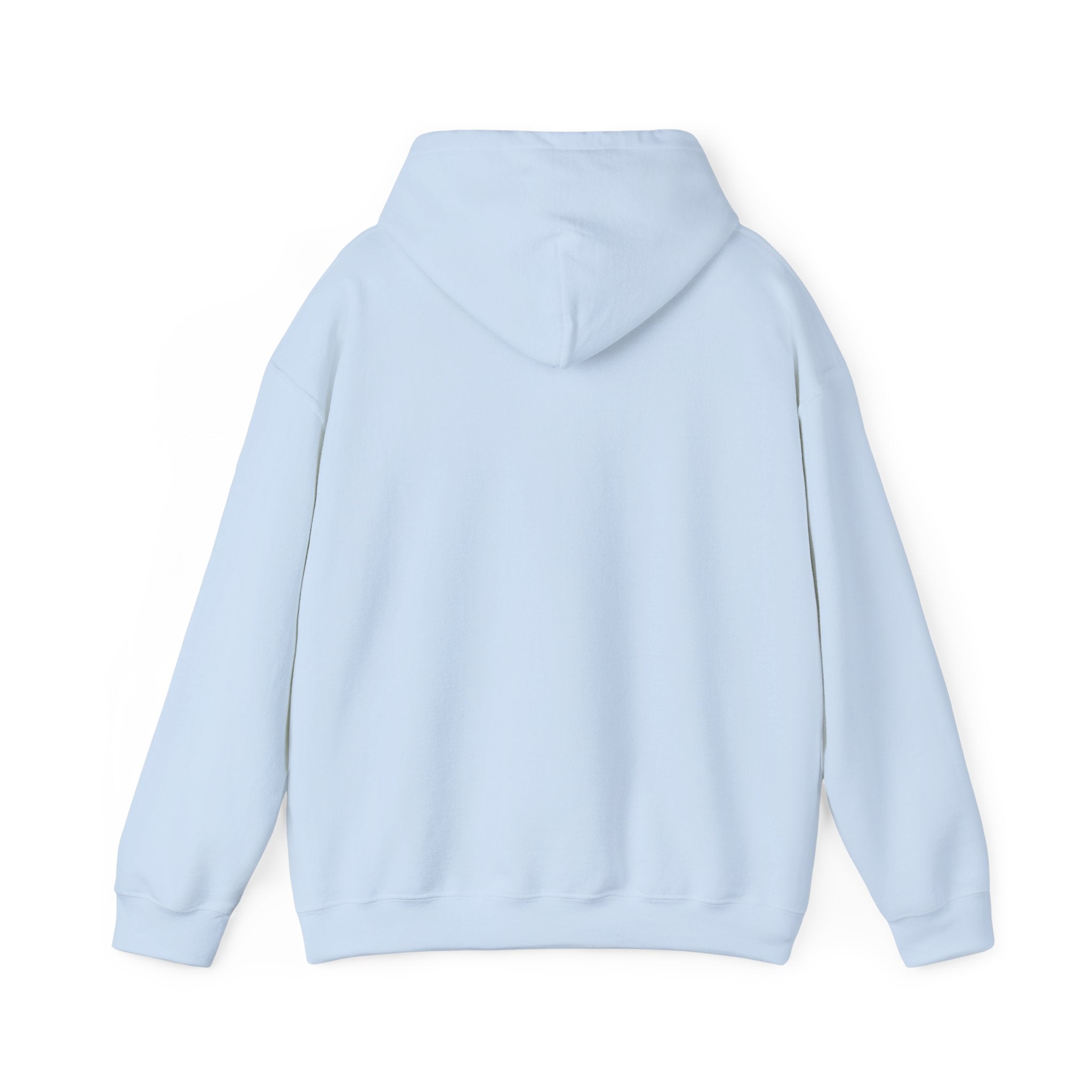 Go Make Disciples Hoodie — Christian Mission Faith Pullover