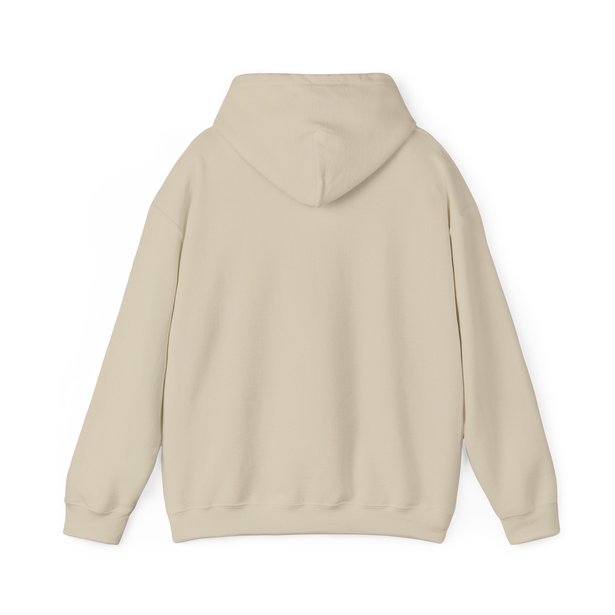Go Make Disciples Hoodie — Christian Mission Faith Pullover