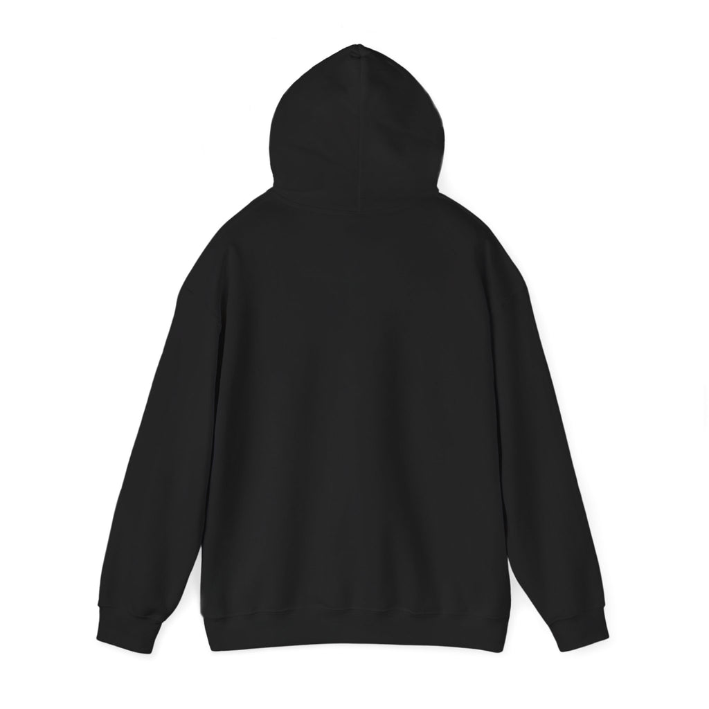 Go Make Disciples Hoodie — Christian Mission Faith Pullover