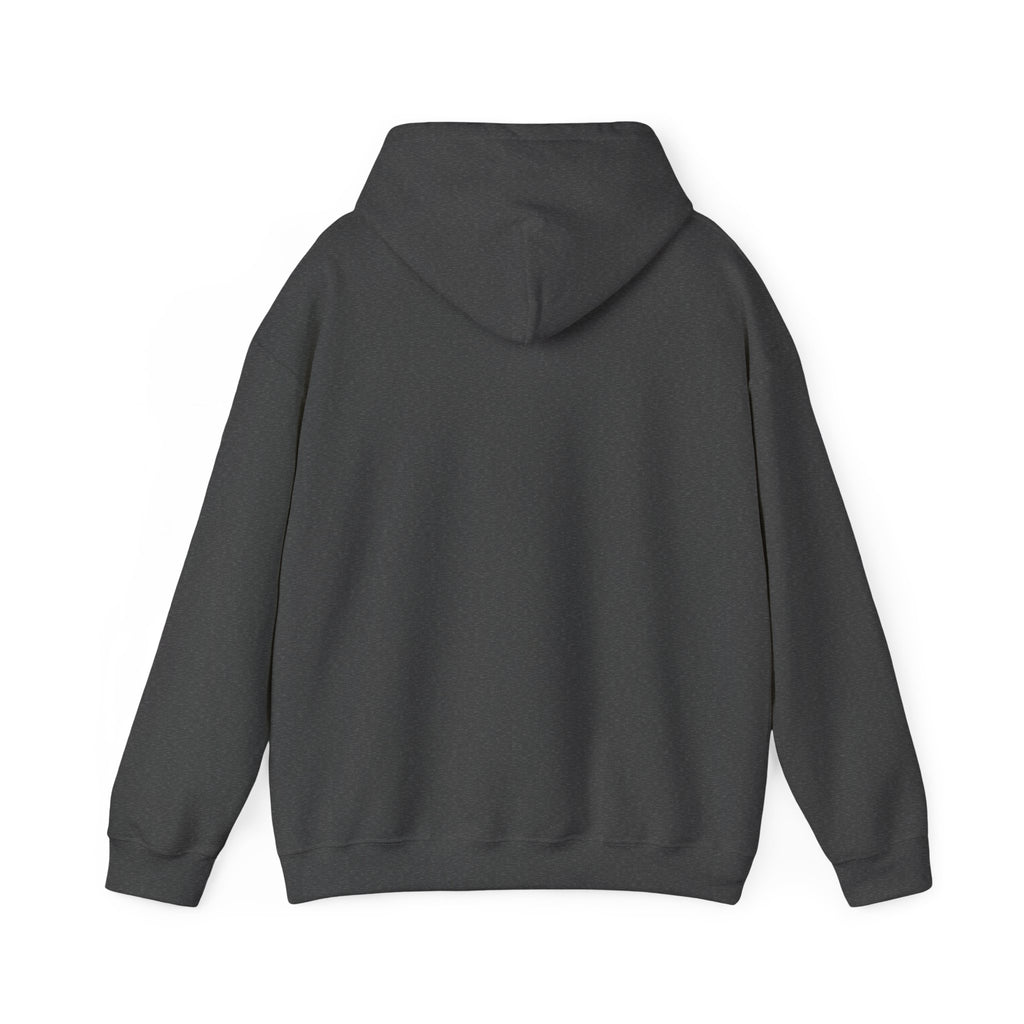 Go Make Disciples Hoodie — Christian Mission Faith Pullover