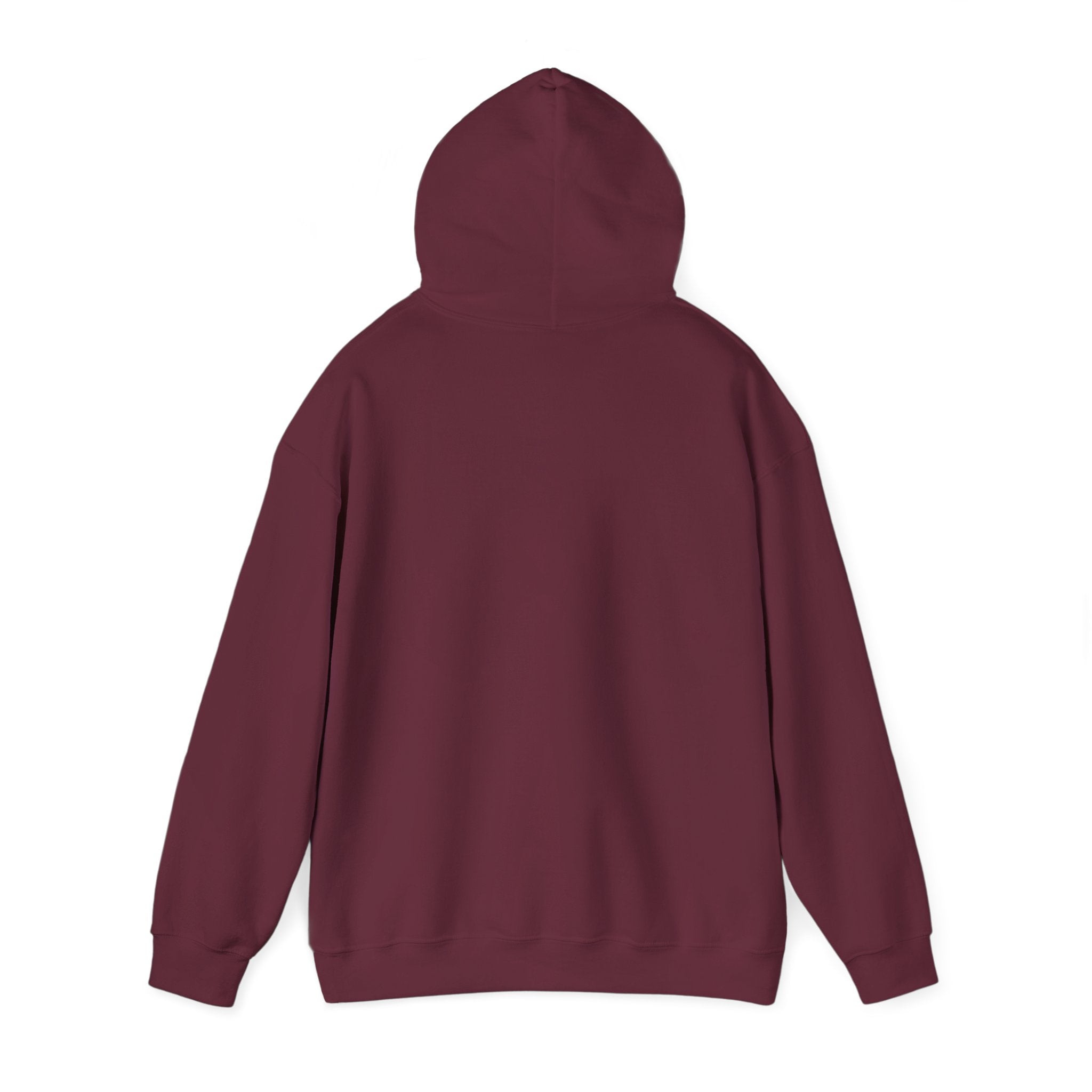 Go Make Disciples Hoodie — Christian Mission Faith Pullover