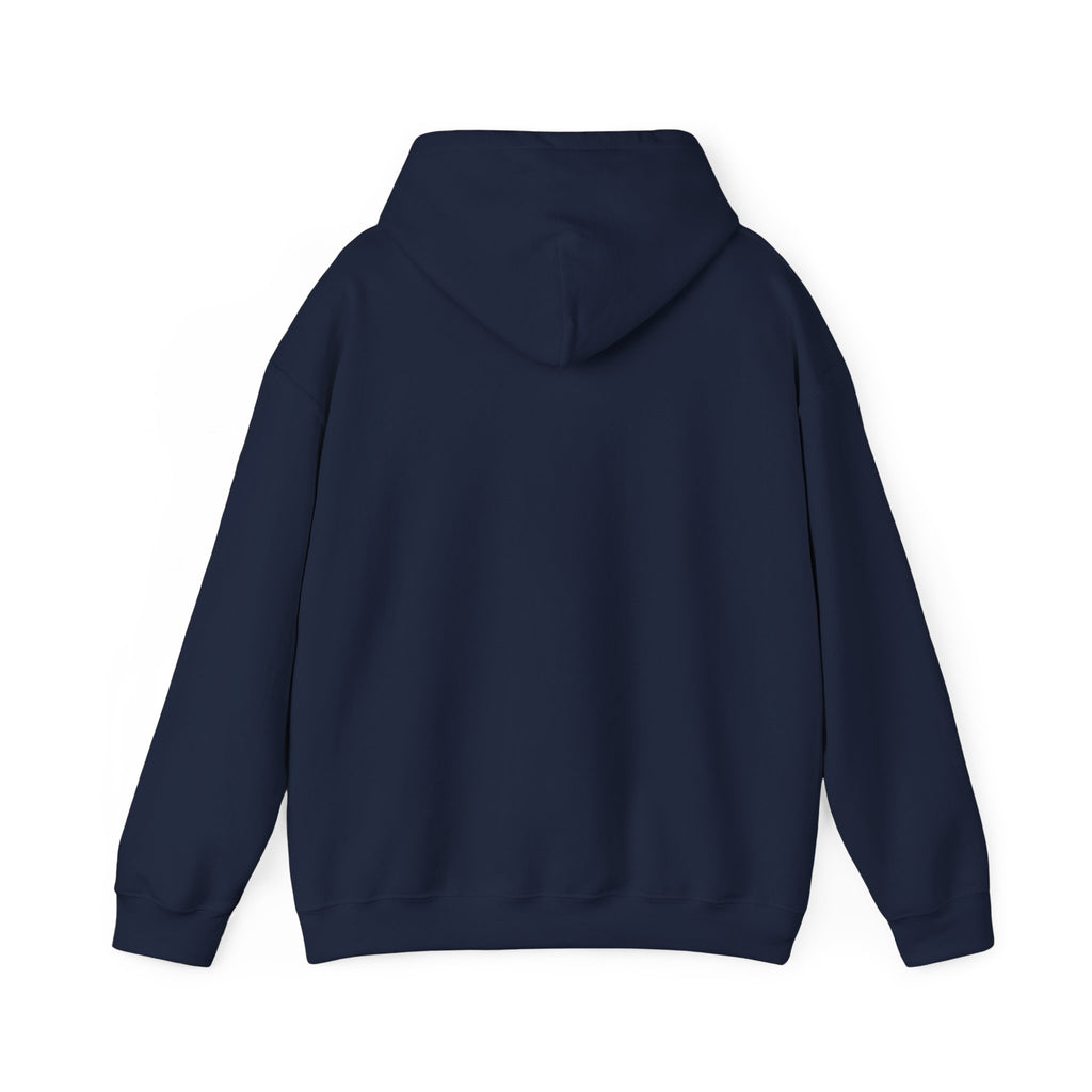 Go Make Disciples Hoodie — Christian Mission Faith Pullover