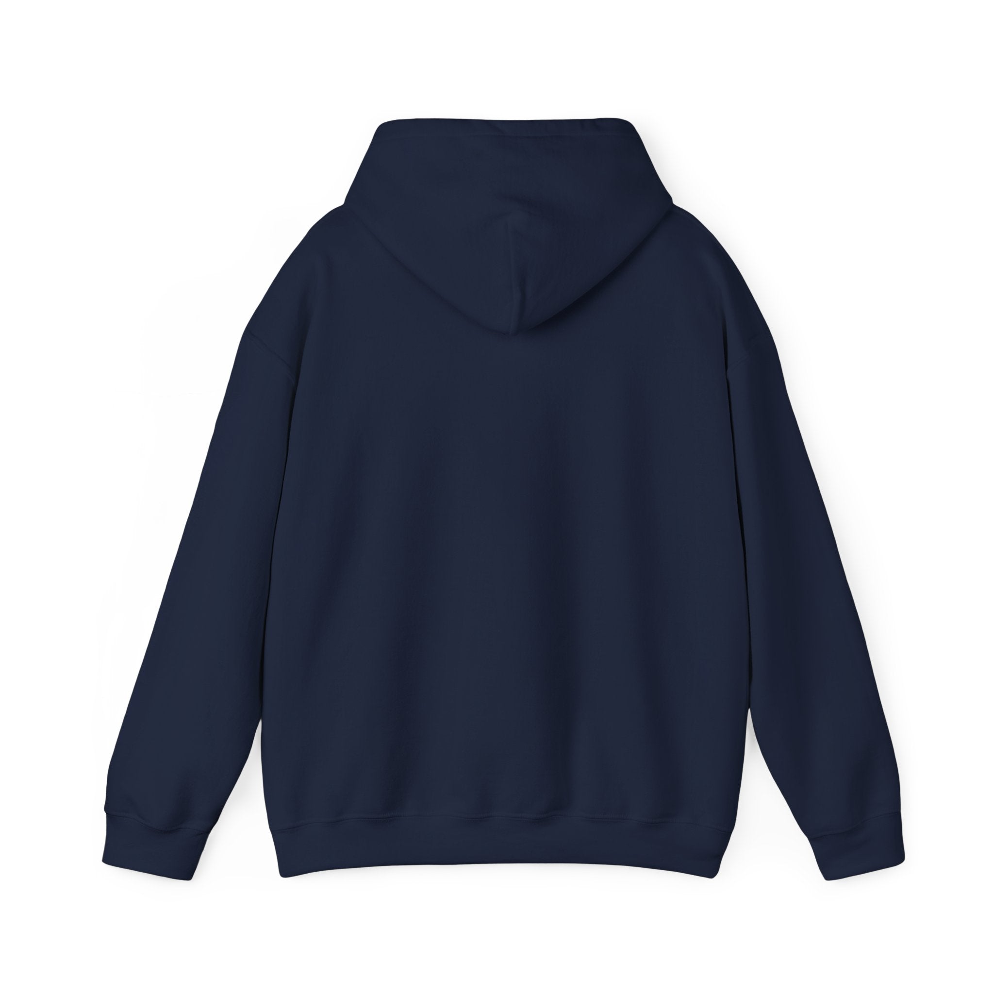 Go Make Disciples Hoodie — Christian Mission Faith Pullover