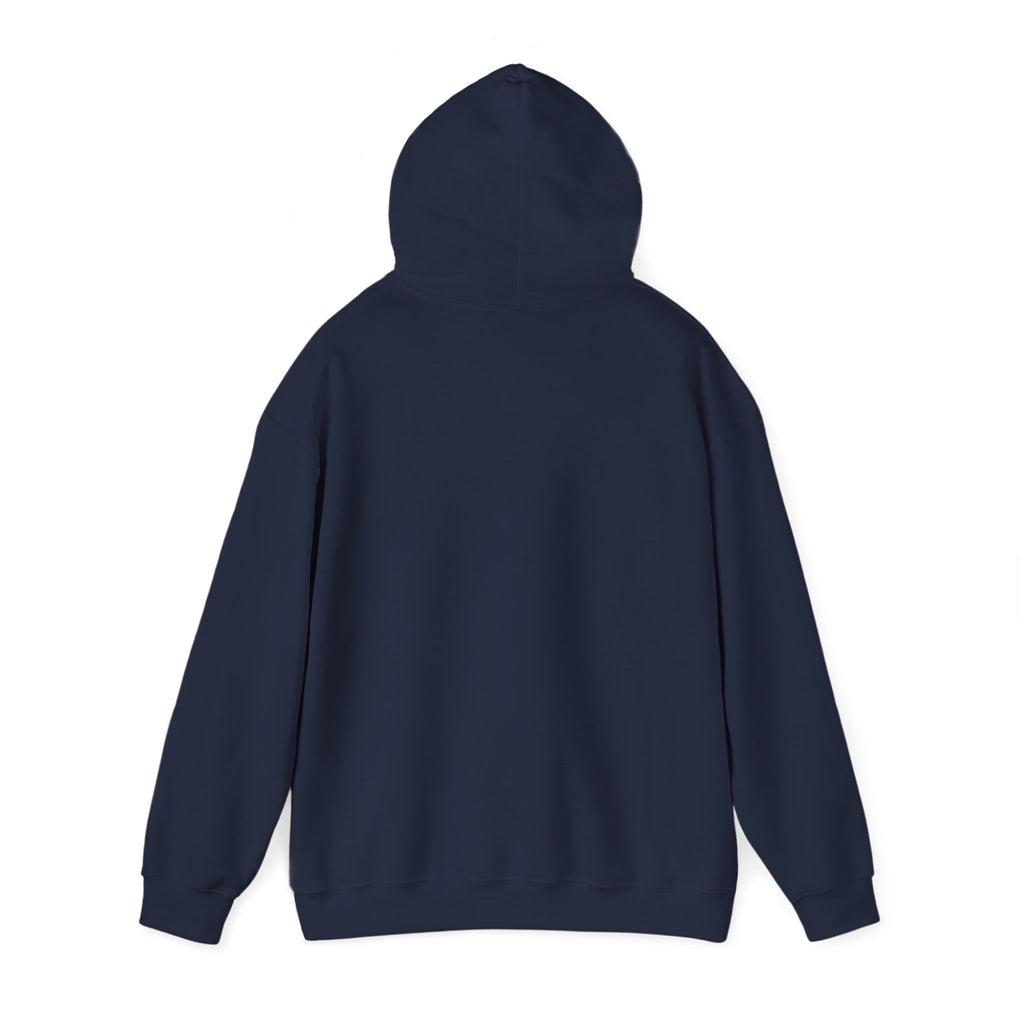 Go Make Disciples Hoodie — Christian Mission Faith Pullover