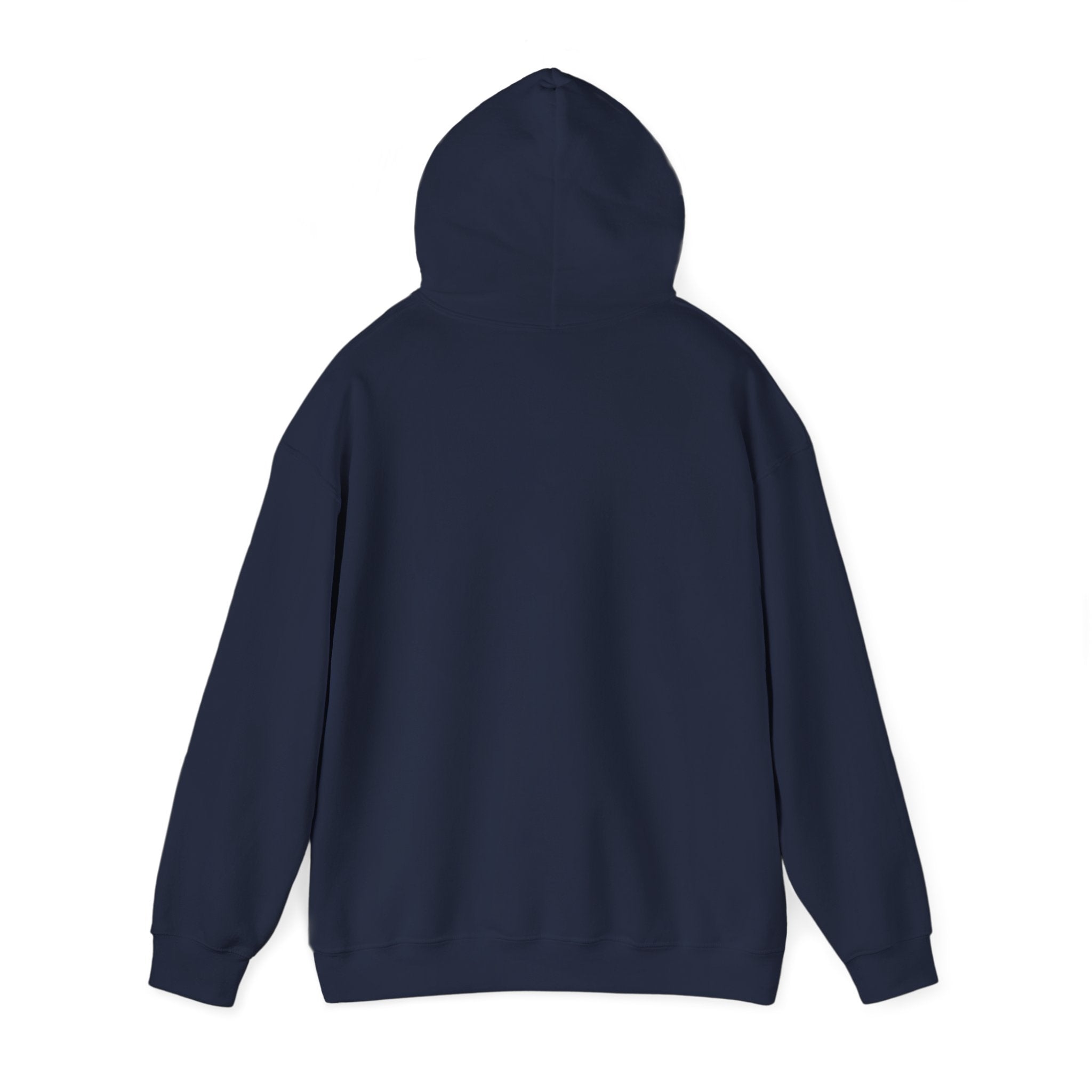 Go Make Disciples Hoodie — Christian Mission Faith Pullover