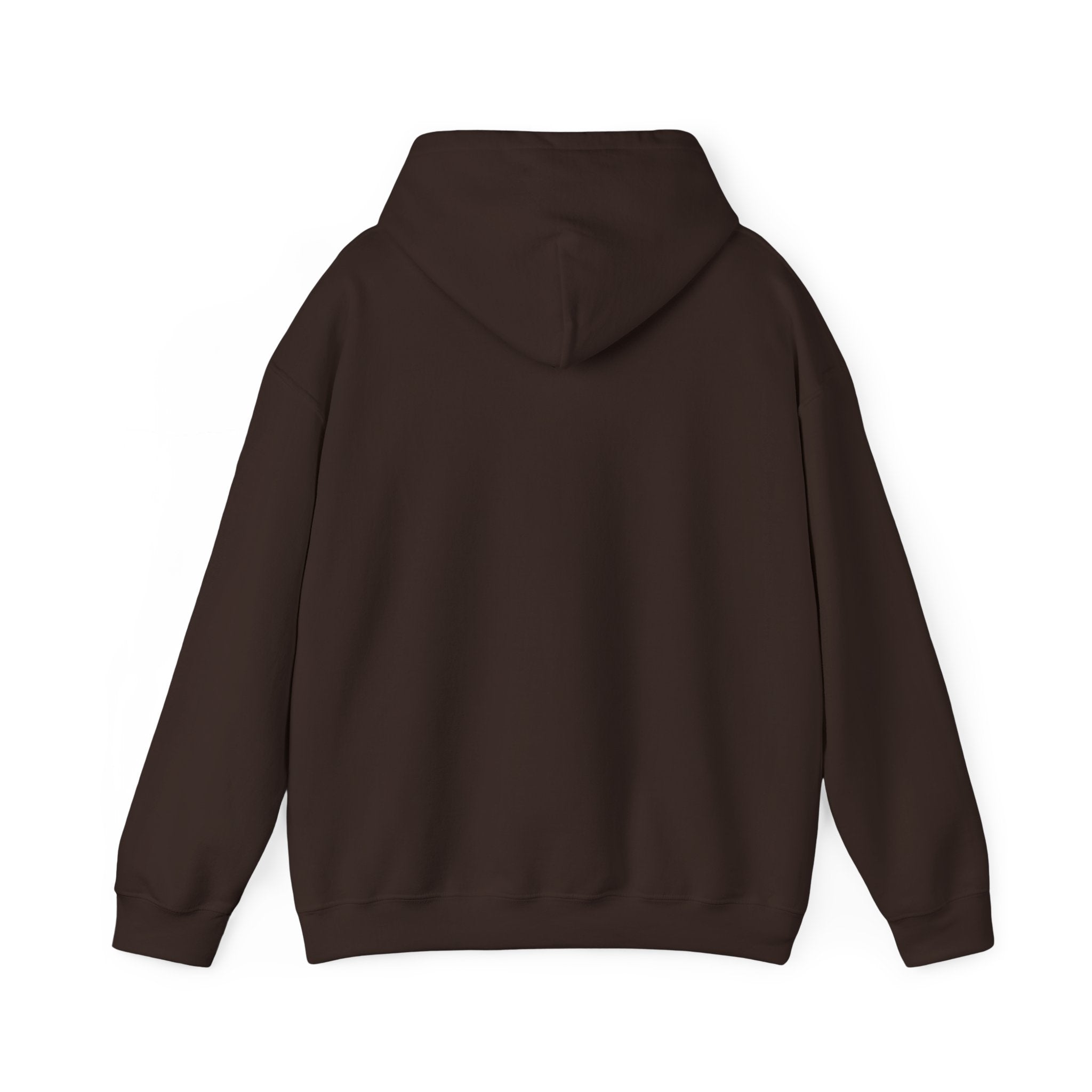 Go Make Disciples Hoodie — Christian Mission Faith Pullover