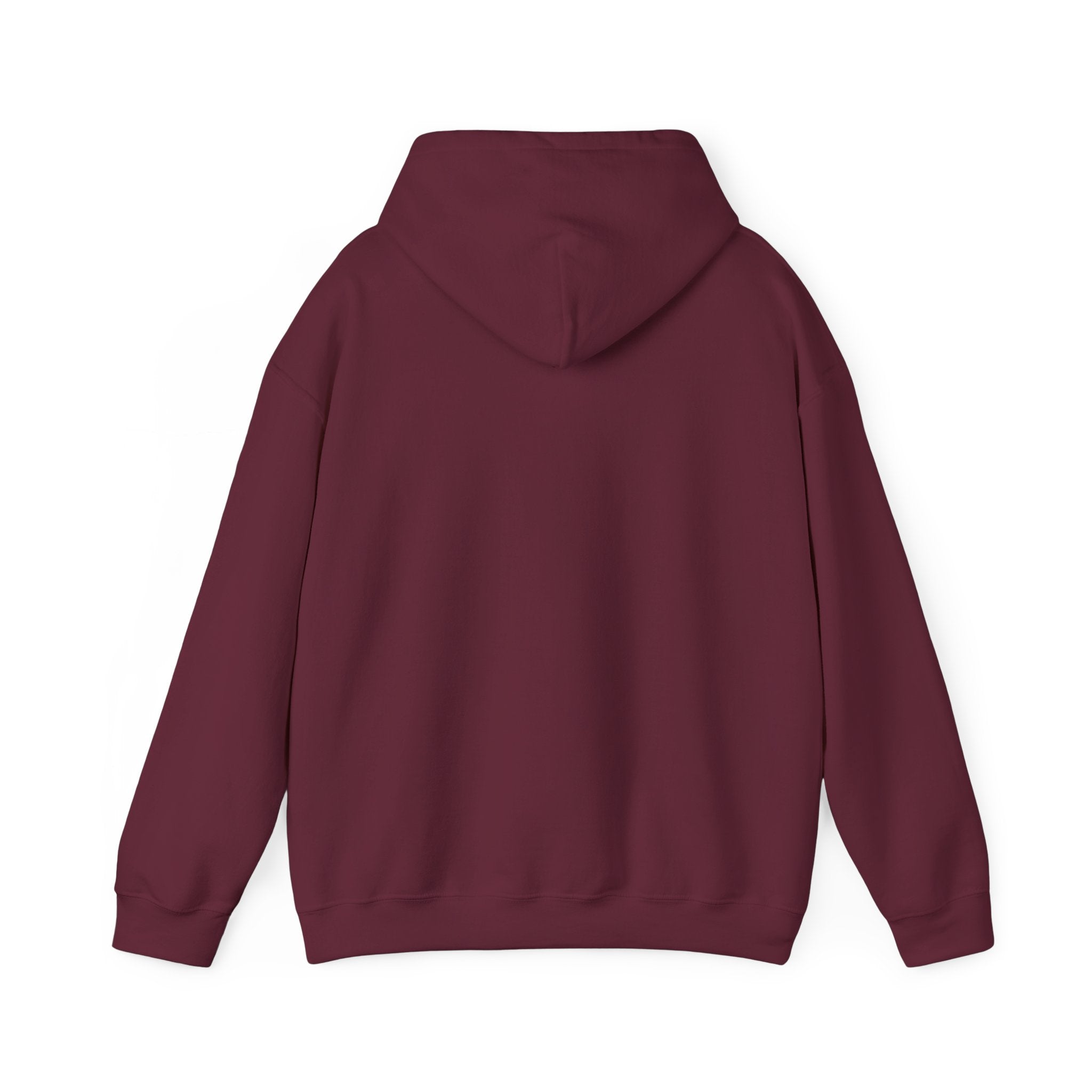 Go Make Disciples Hoodie — Christian Mission Faith Pullover