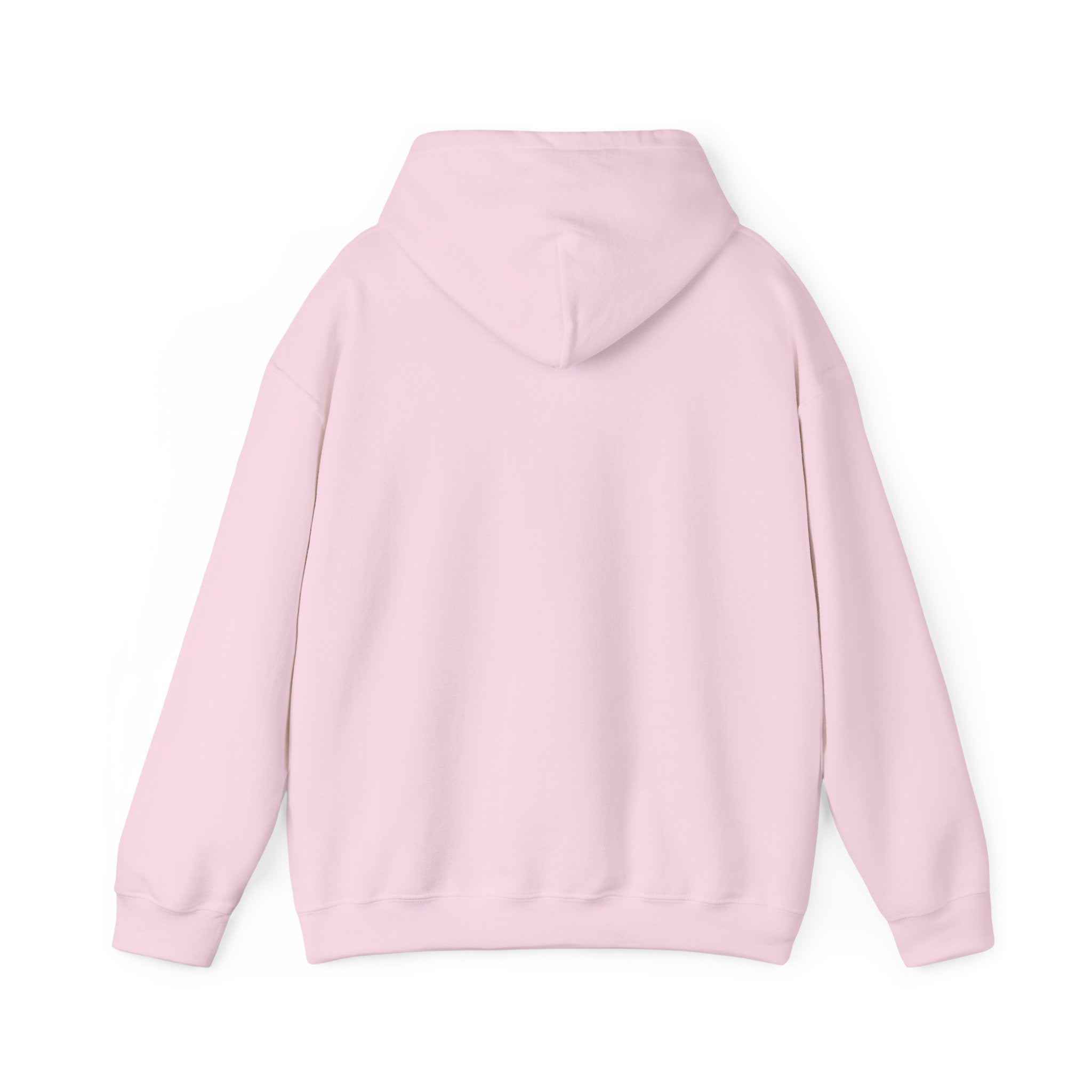 Go Make Disciples Hoodie — Christian Mission Faith Pullover