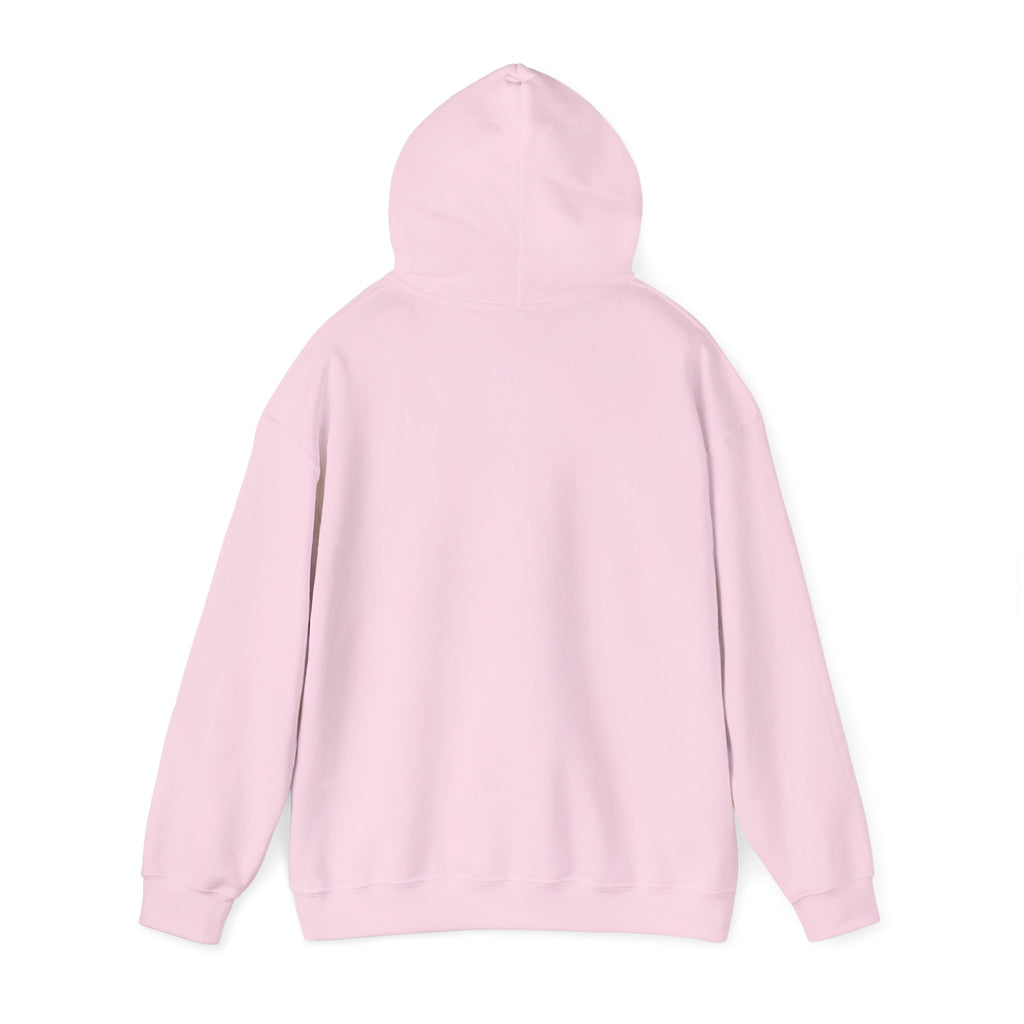 Go Make Disciples Hoodie — Christian Mission Faith Pullover