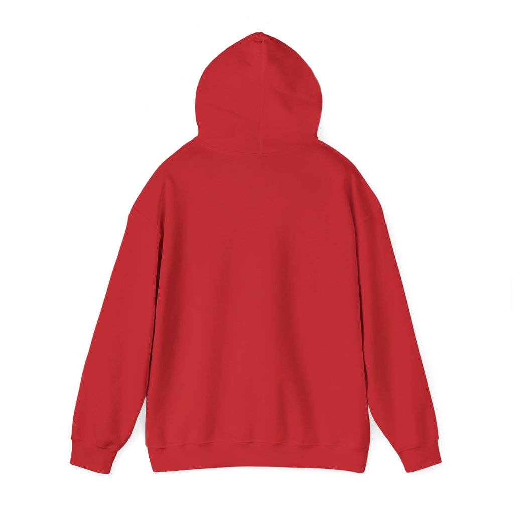 Go Make Disciples Hoodie — Christian Mission Faith Pullover