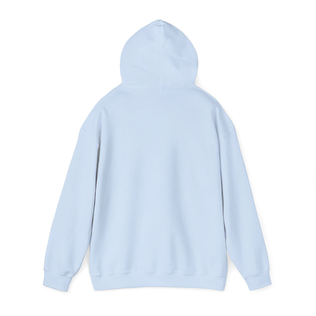 Go Make Disciples Hoodie — Christian Mission Faith Pullover