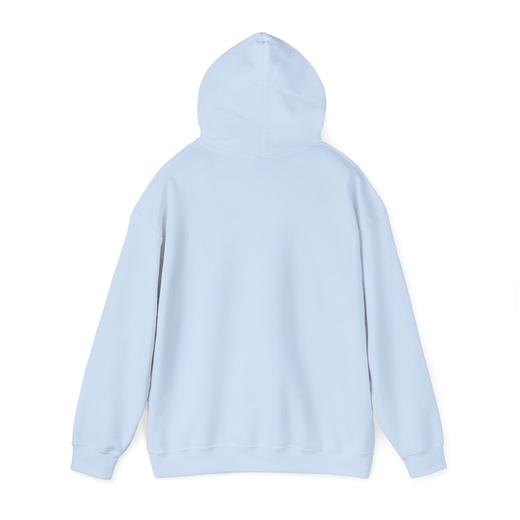 Go Make Disciples Hoodie — Christian Mission Faith Pullover
