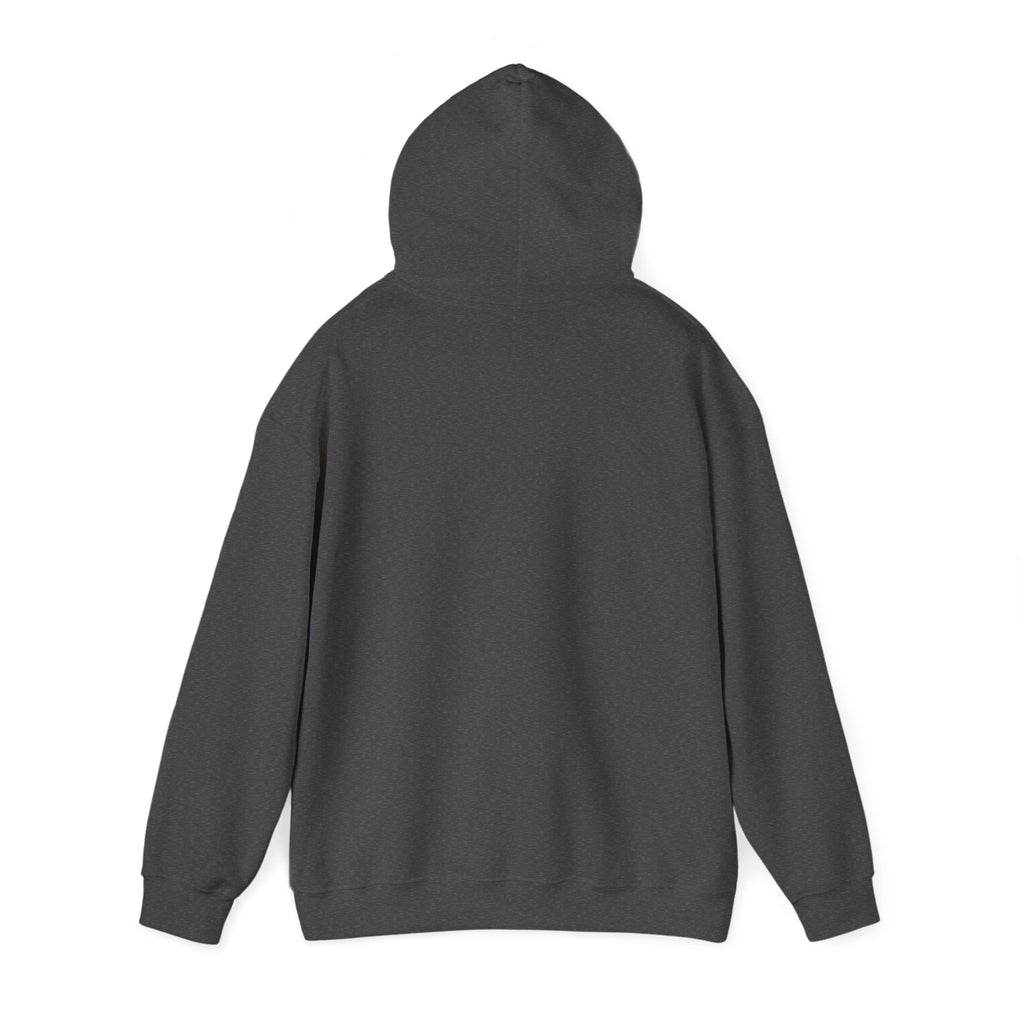 Go Make Disciples Hoodie — Christian Mission Faith Pullover