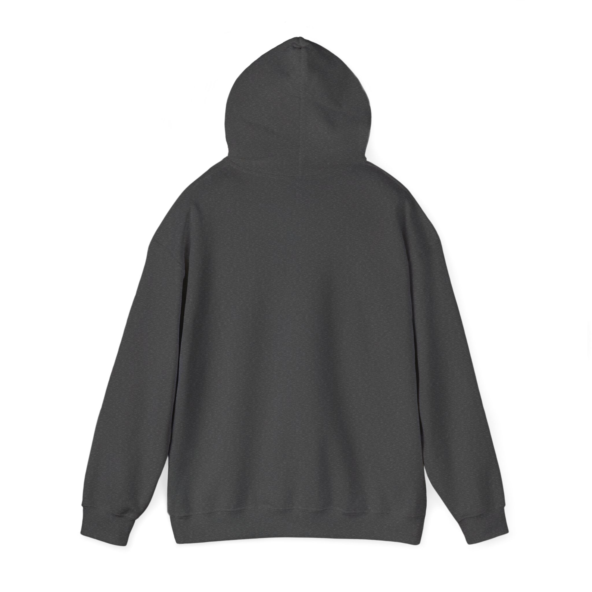 Go Make Disciples Hoodie — Christian Mission Faith Pullover