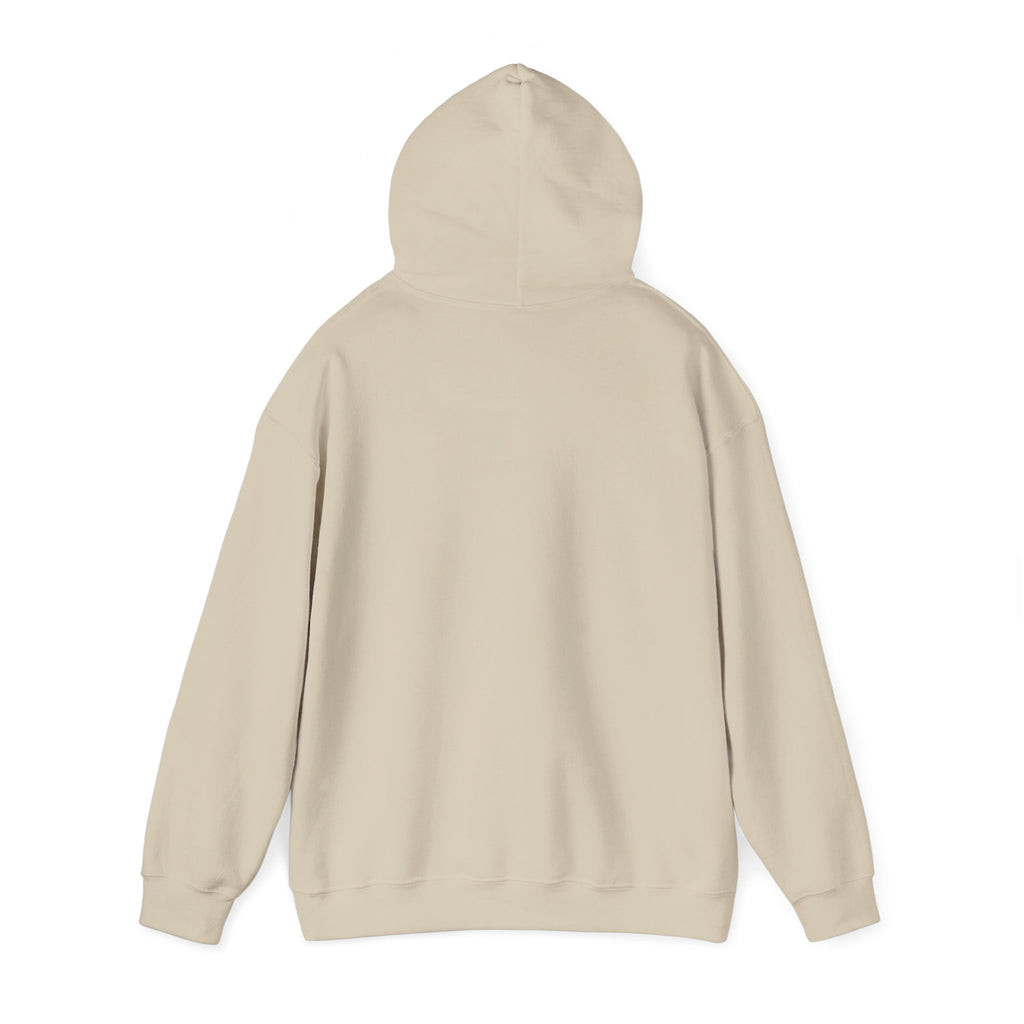 Go Make Disciples Hoodie — Christian Mission Faith Pullover