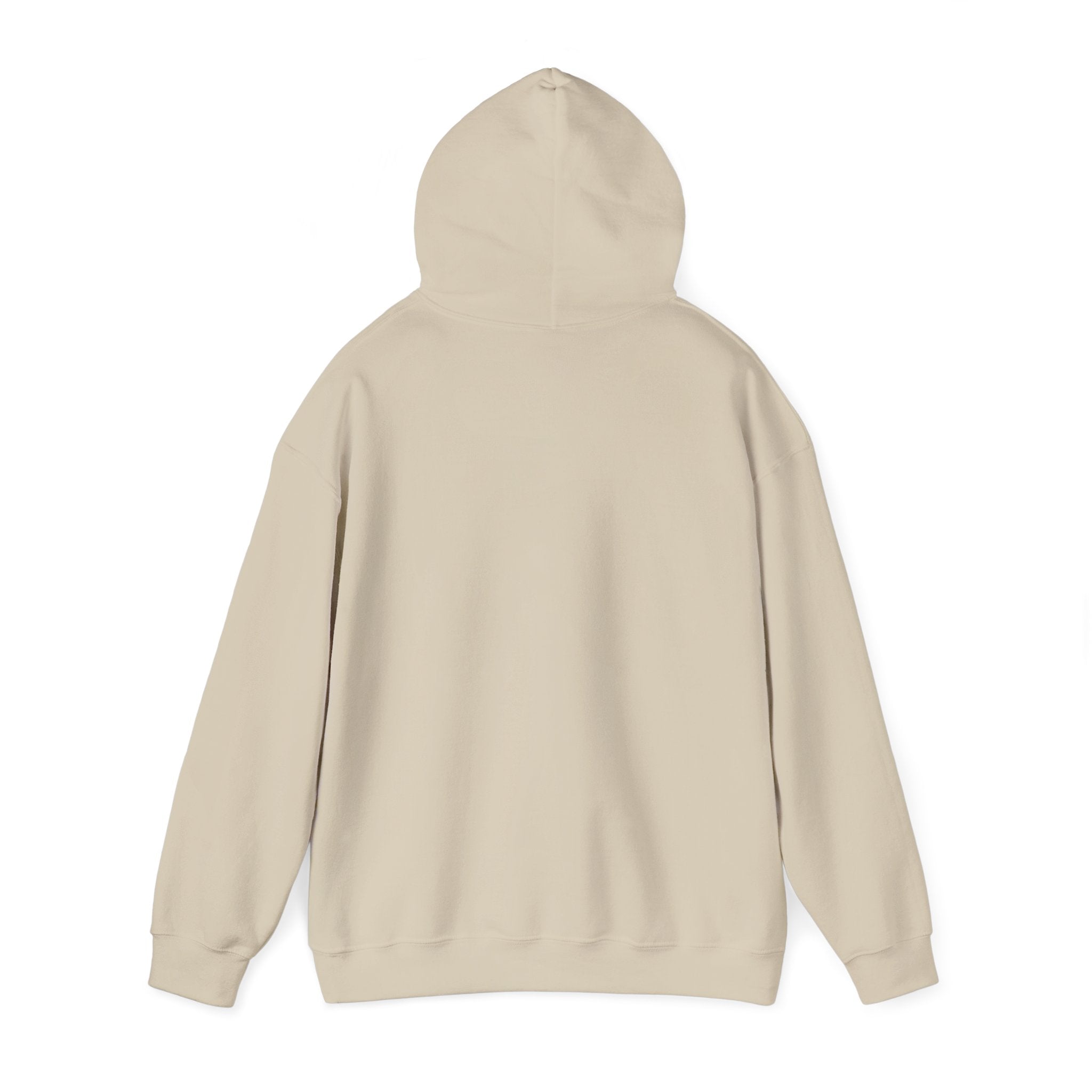 Go Make Disciples Hoodie — Christian Mission Faith Pullover