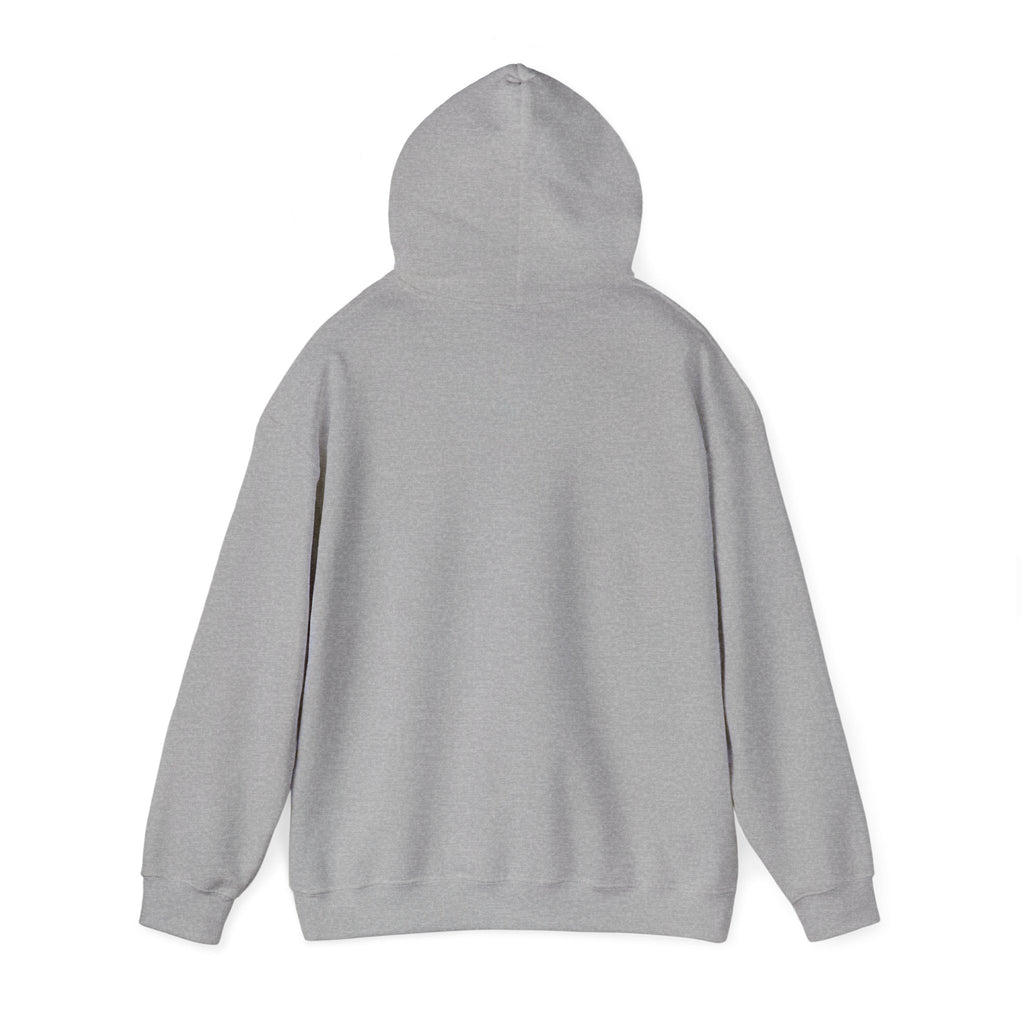 Go Make Disciples Hoodie — Christian Mission Faith Pullover