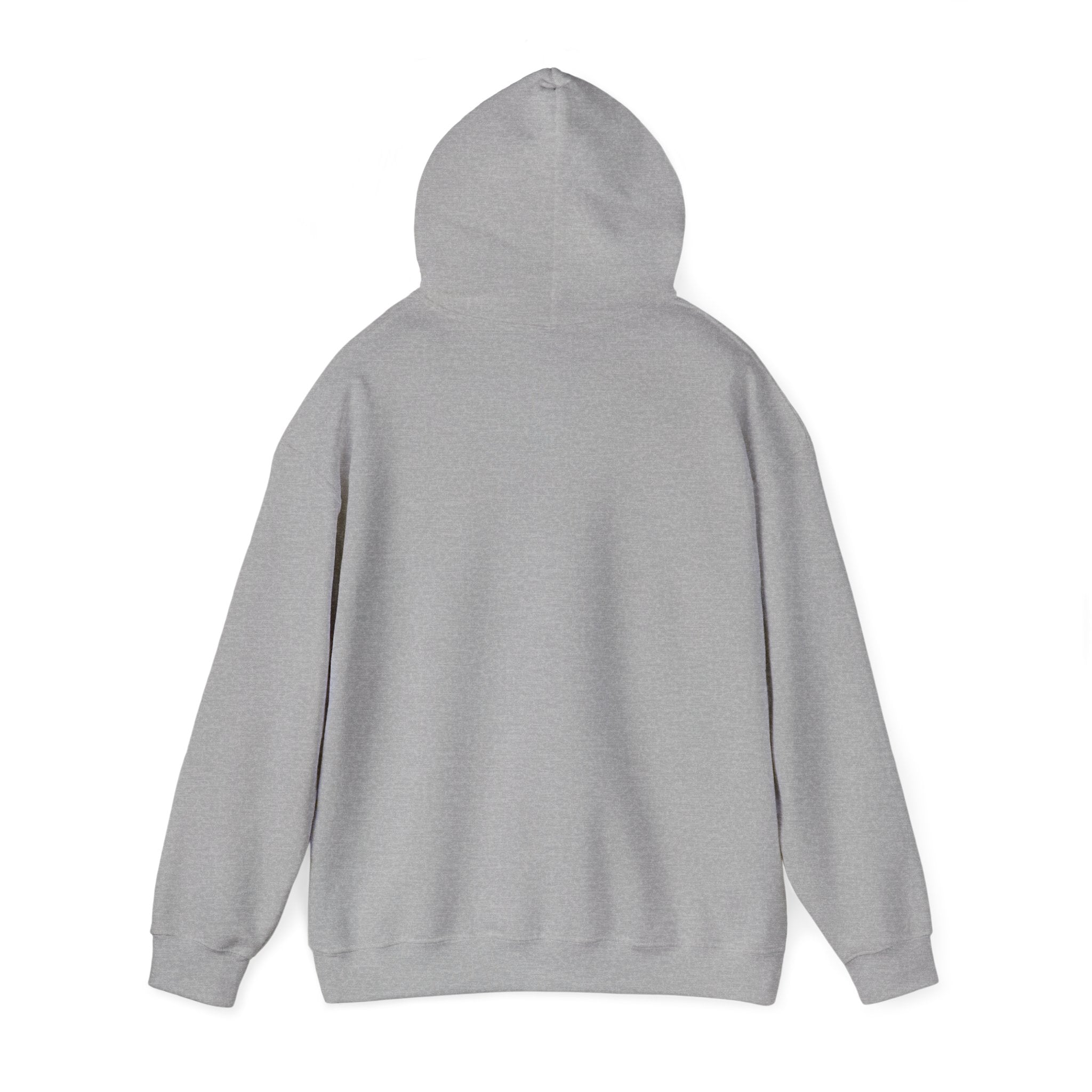 Go Make Disciples Hoodie — Christian Mission Faith Pullover