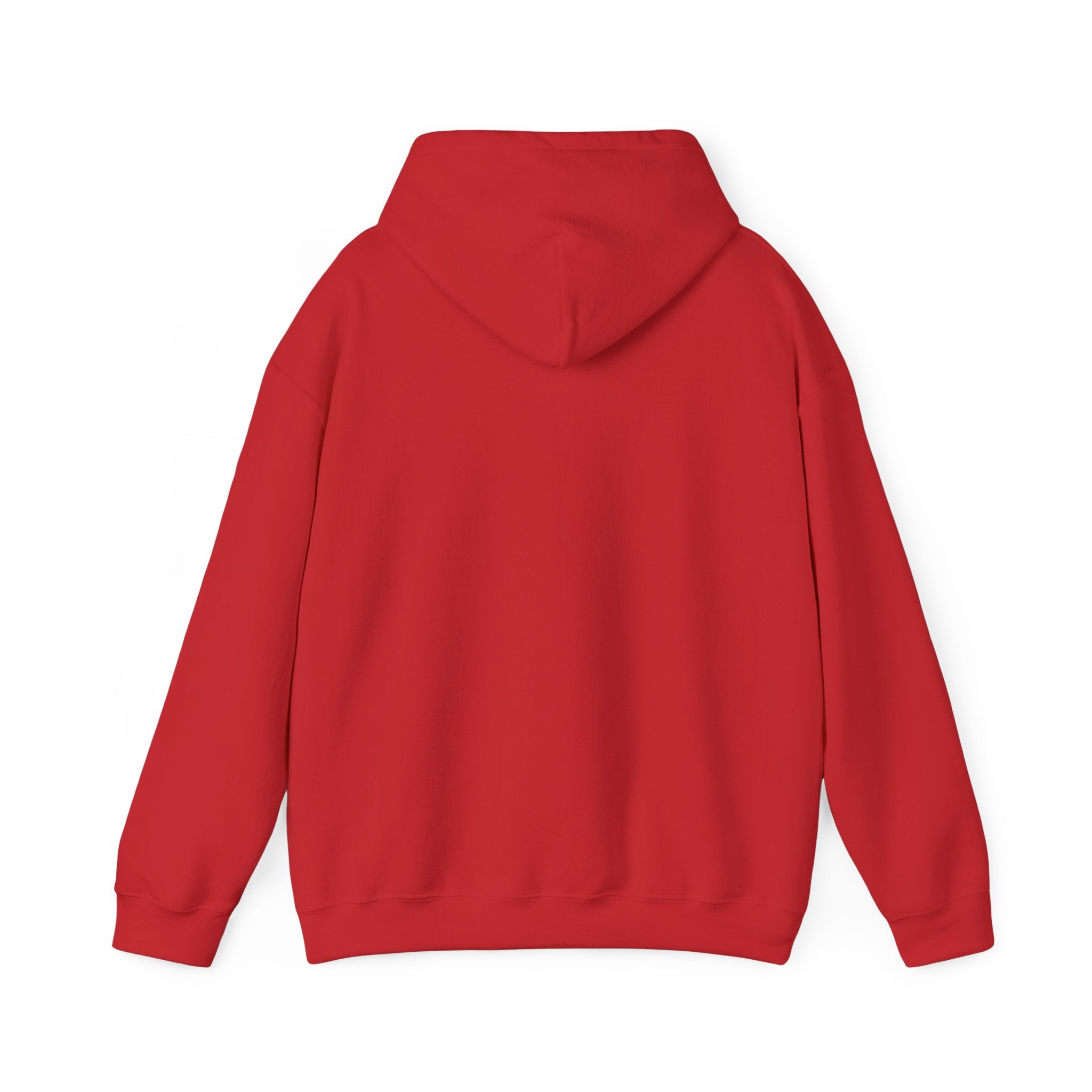 Go Make Disciples Hoodie — Christian Mission Faith Pullover