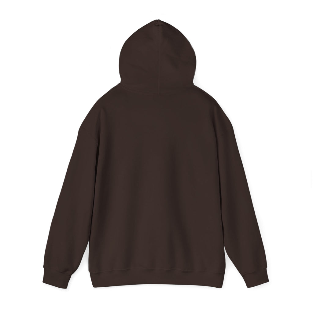 Go Make Disciples Hoodie — Christian Mission Faith Pullover