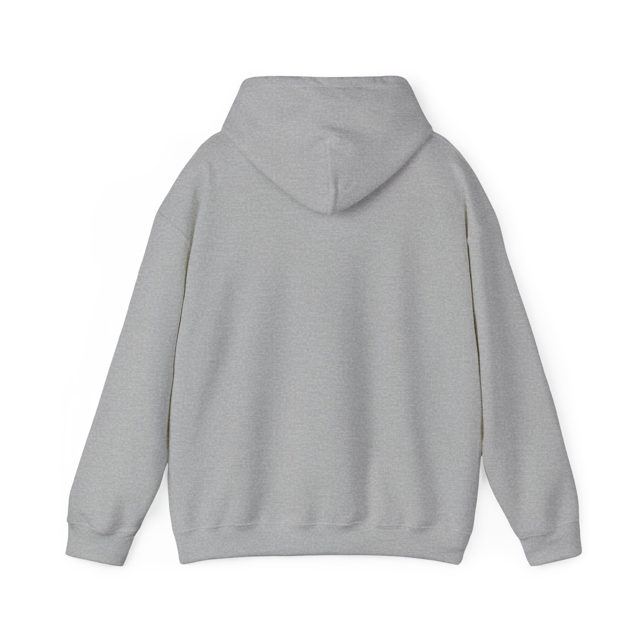 Go Make Disciples Hoodie — Christian Mission Faith Pullover