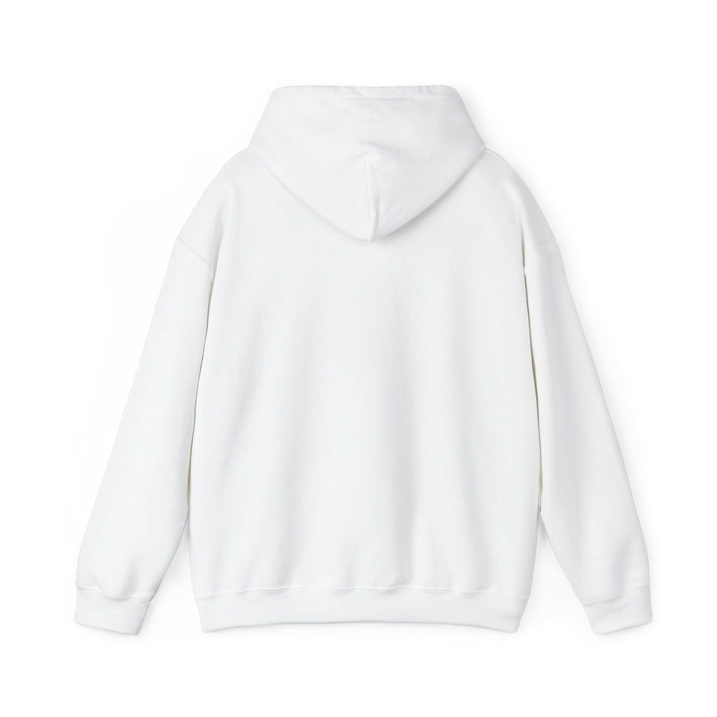 Go Make Disciples Hoodie — Christian Mission Faith Pullover