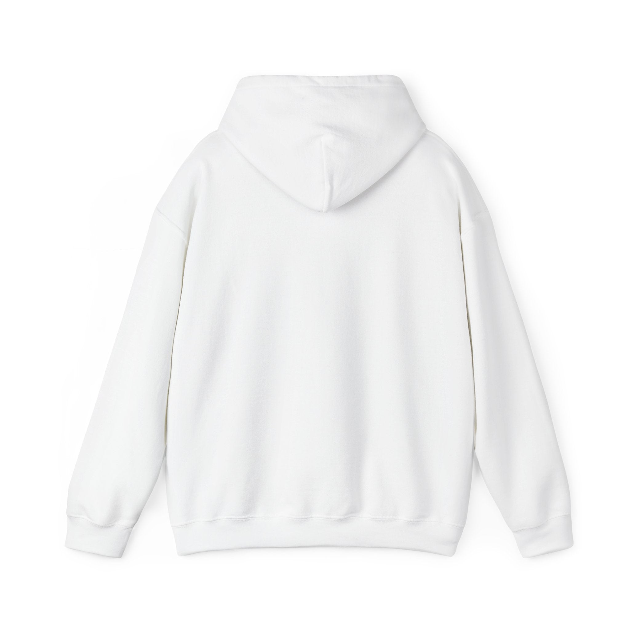 Go Make Disciples Hoodie — Christian Mission Faith Pullover