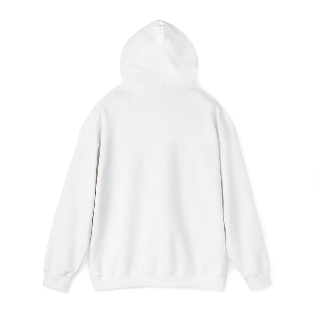 Go Make Disciples Hoodie — Christian Mission Faith Pullover