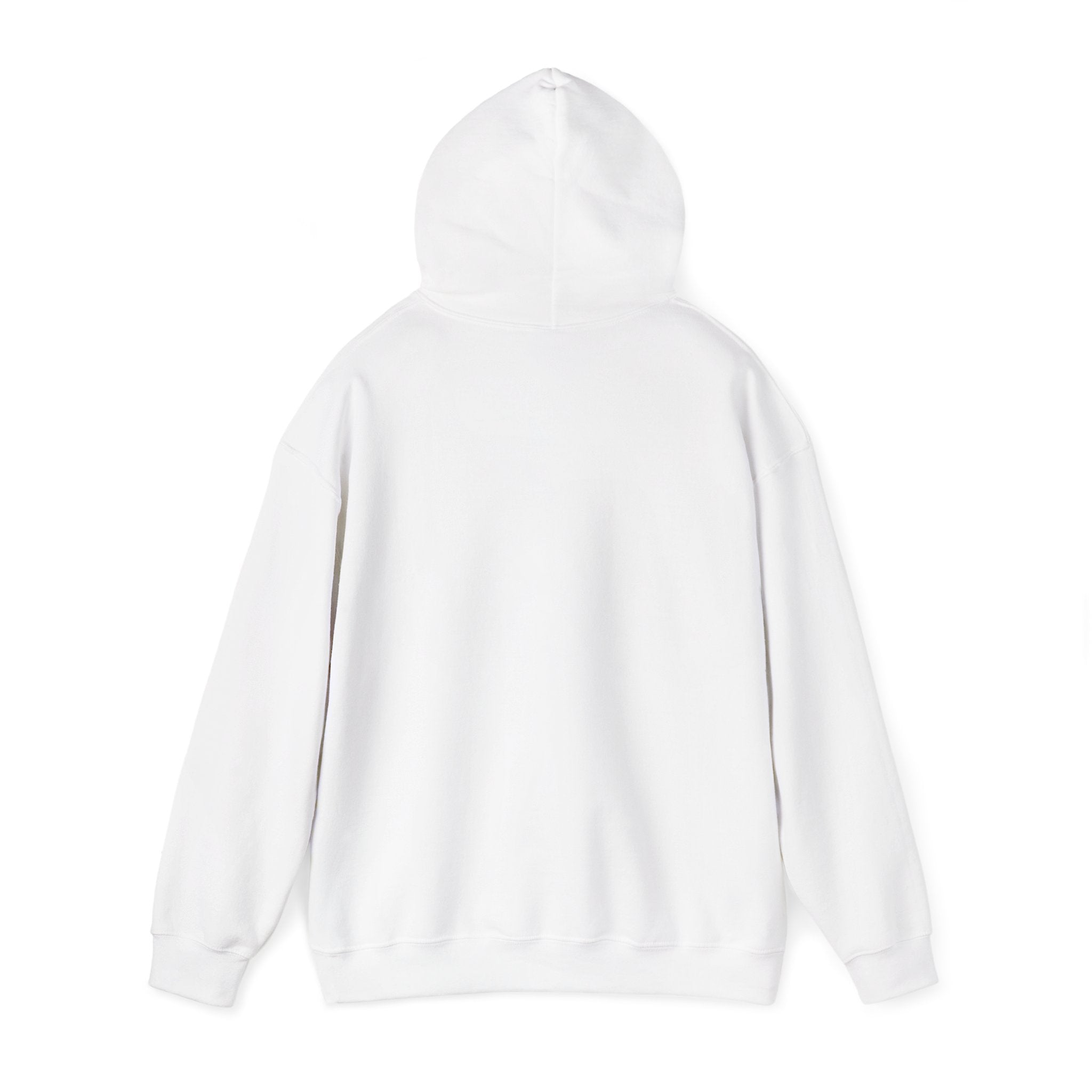 Go Make Disciples Hoodie — Christian Mission Faith Pullover