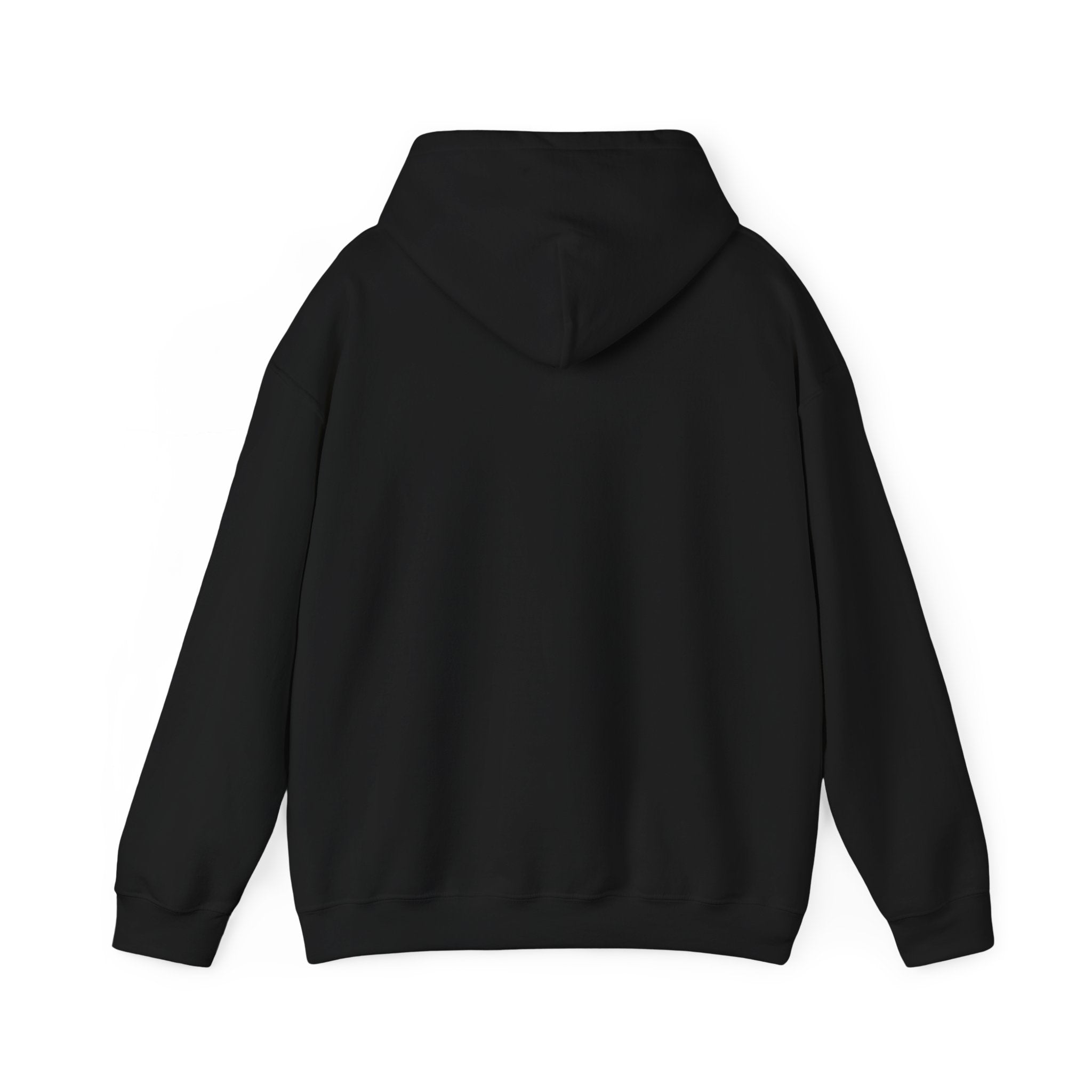 Go Make Disciples Hoodie — Christian Mission Faith Pullover